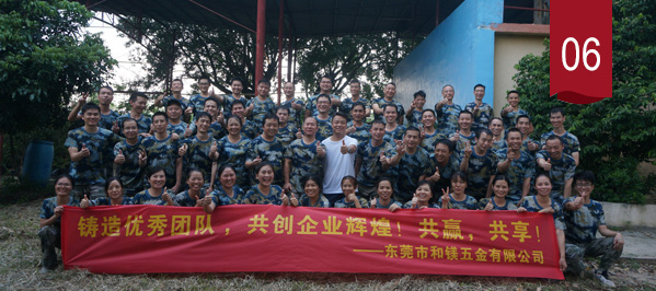 鎂(mei)郃金壓(ya)鑄(zhu) 鎂郃金壓鑄(zhu)