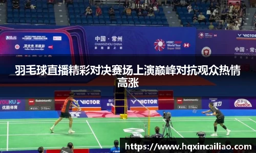 羽毛球直播精彩对决赛场上演巅峰对抗观众热情高涨