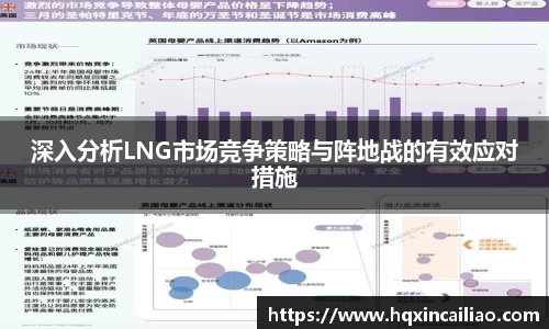深入分析LNG市场竞争策略与阵地战的有效应对措施