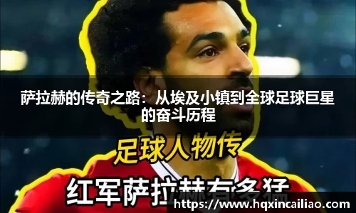 博鱼.体育官网